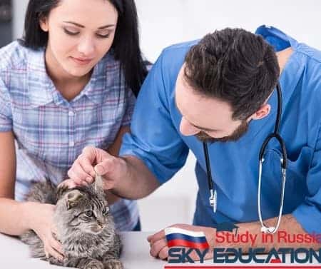 Veteriner Hekimliği