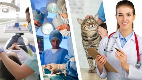 Health Programs eduruss